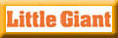 LITTLE GIANT Ladder Systems