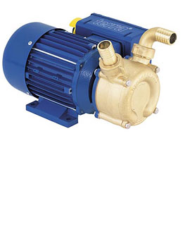 Terra T1 - 1�� Transfer Pump