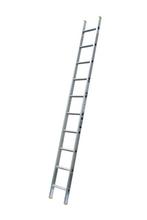 Single Section Ladder Lyte NELT130 2.9m EN131-2 Professional